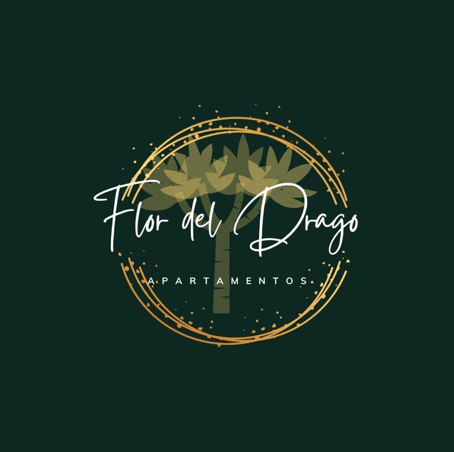 Flor Del Drago Apartment Icod De Los Vinos Bagian luar foto