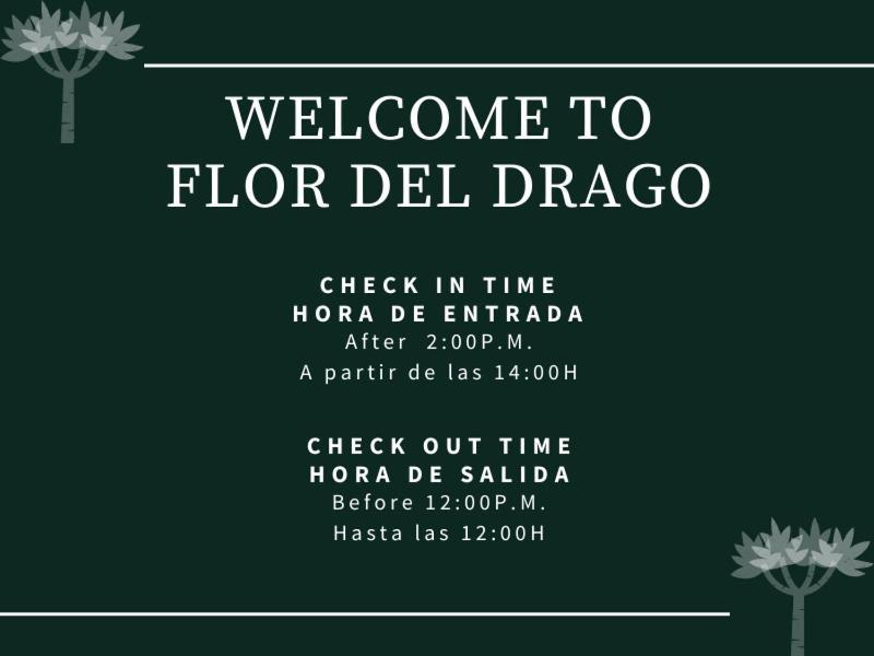 Flor Del Drago Apartment Icod De Los Vinos Bagian luar foto
